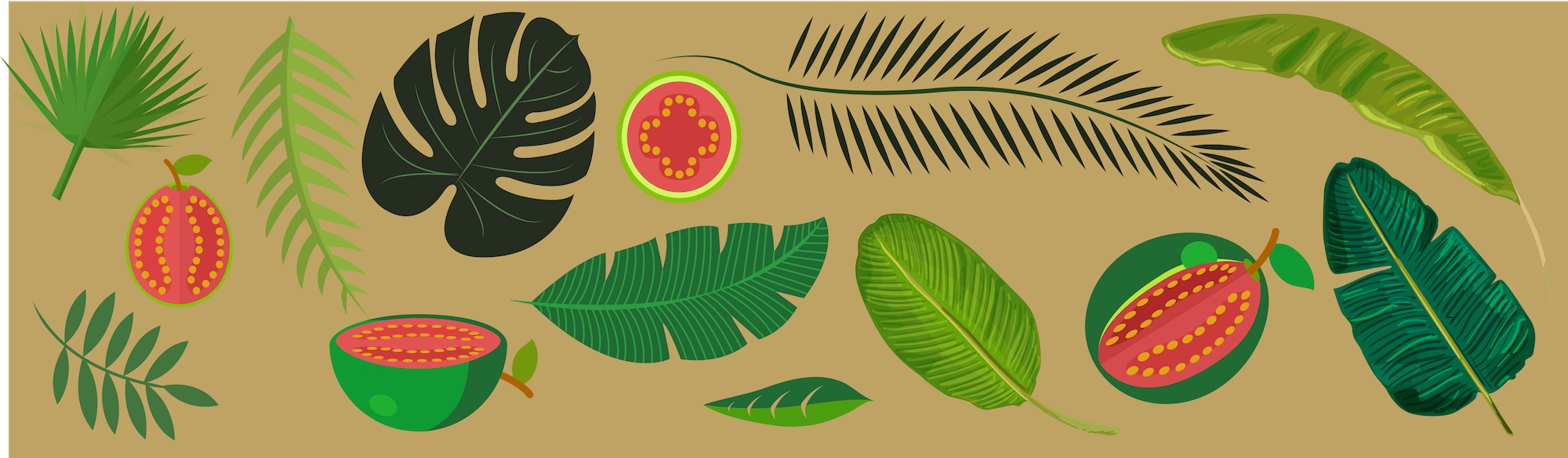 background image with tropical leaves